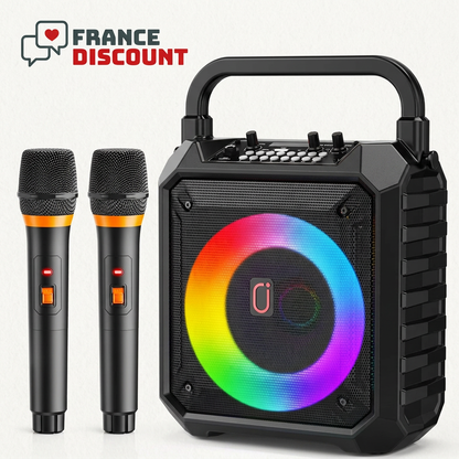 Enceinte noire avec deux microphones et logo France Discount