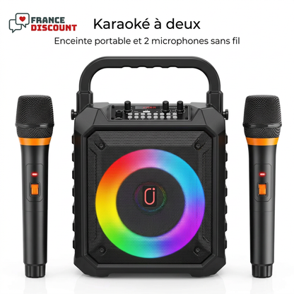 Enceinte karaoké et deux microphones, logo France Discount