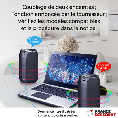 Couplage de deux enceintes Zealot S32 : compatibilité et procédure à vérifier dans la notice, légendes françaises