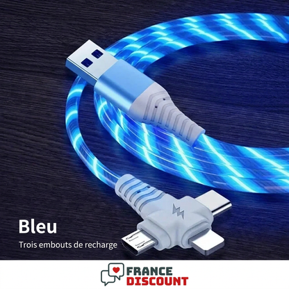 Câble lumineux bleu à trois embouts, photo fournisseur avec légendes françaises