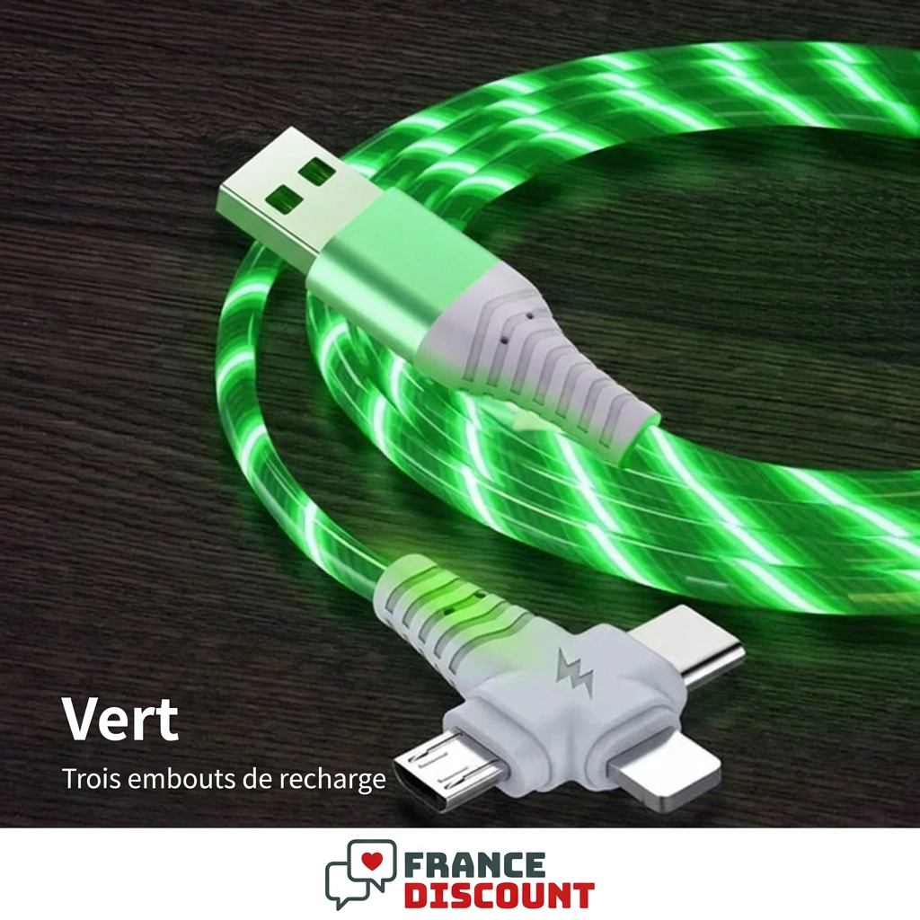 Câble lumineux vert à trois embouts, photo fournisseur avec légendes françaises