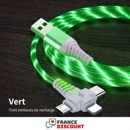 Câble lumineux vert à trois embouts, photo fournisseur avec légendes françaises